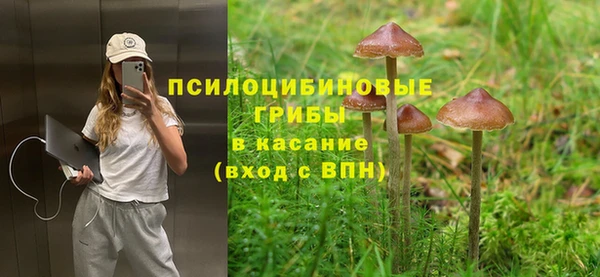 кокс Алексин