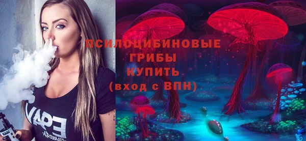 apvp Алексеевка